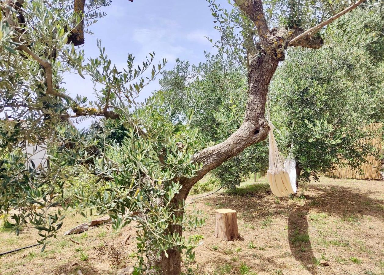 Nostos - Casale e Permacultura Bed and Breakfast SantʼAgata sui Due Golfi Exterior foto