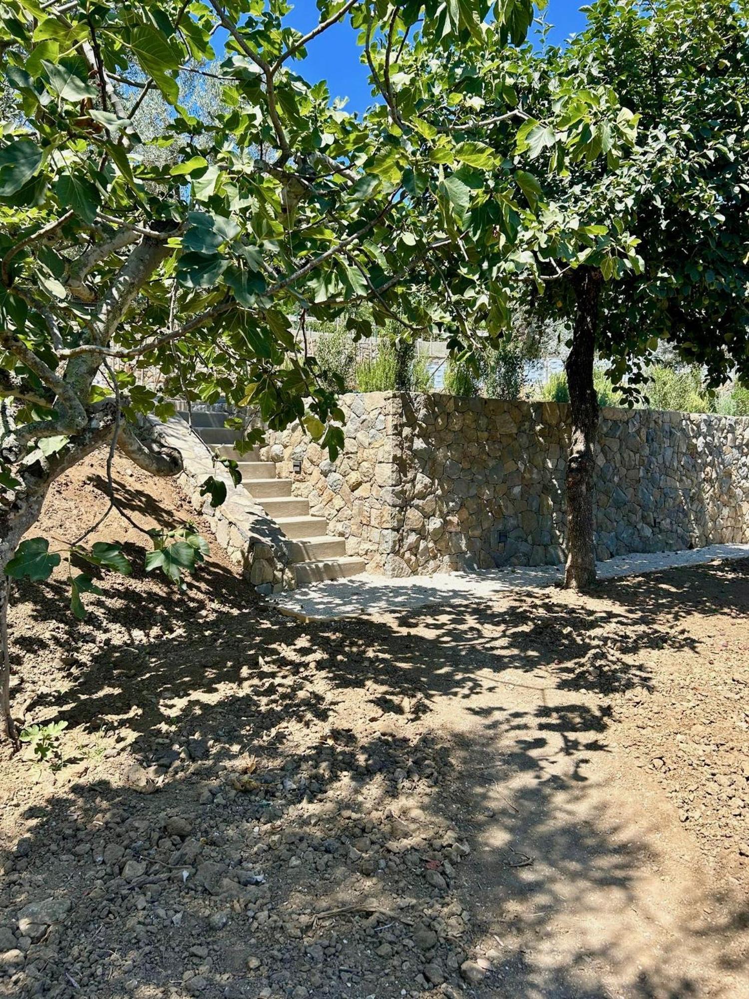 Nostos - Casale e Permacultura Bed and Breakfast SantʼAgata sui Due Golfi Exterior foto