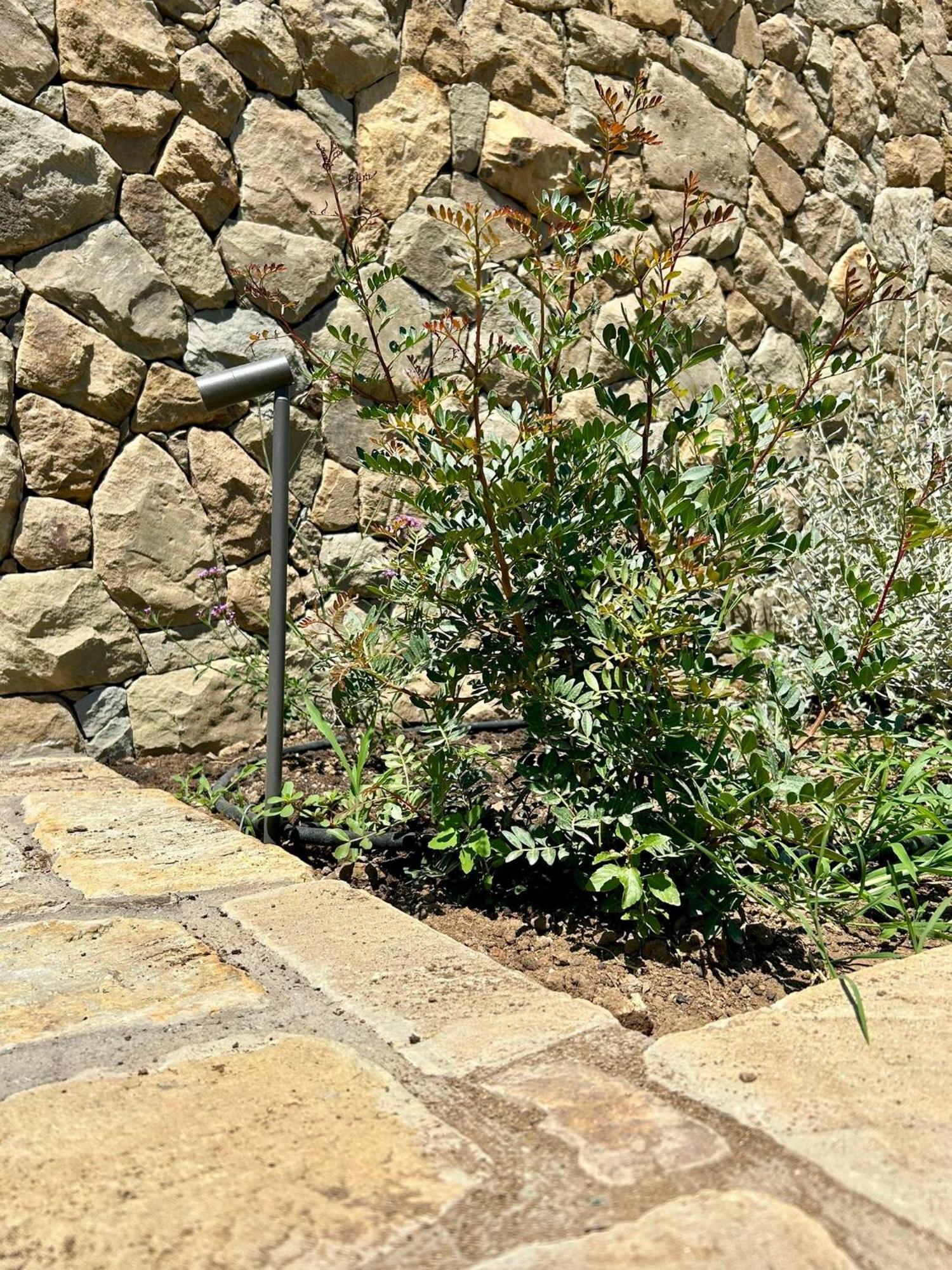 Nostos - Casale e Permacultura Bed and Breakfast SantʼAgata sui Due Golfi Exterior foto